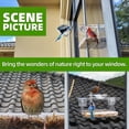 thumbnail image 5 of Comedero para pájaros con ventana transparente, succión resistente, observación de aves segura y cómoda, fácil de rellenar, regalo perfecto para exteriores, 5 of 5