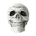 thumbnail image 1 of Plastic Horror Skeleton Skull Ornament Halloween Decor for Home  3 Piece Set, 1 of 6