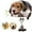 A, variant on Durable Interactive Squeaky Stuffed Animal Chew Toy for Small and Medium Breed Dogs