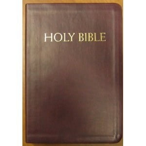 Nabre Catholic Companion Bible-Burgundy Imitation Leather