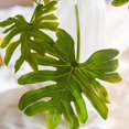 thumbnail image 3 of Artificial Philodendron Leaf Bundle 25" Tall, 3 of 10