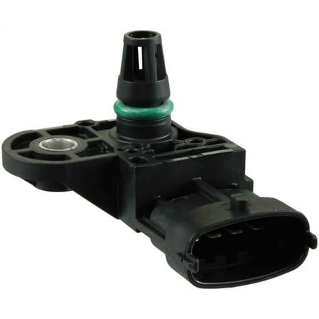 Man. Absolute Press. Sens