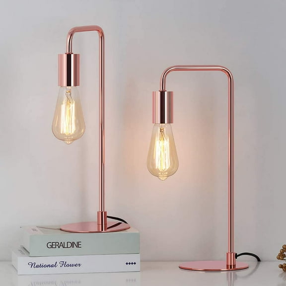 Rose Gold Metal Table Lamp 2-Piece Set, Industrial Style Bedside Lamp, Reading Lamp.