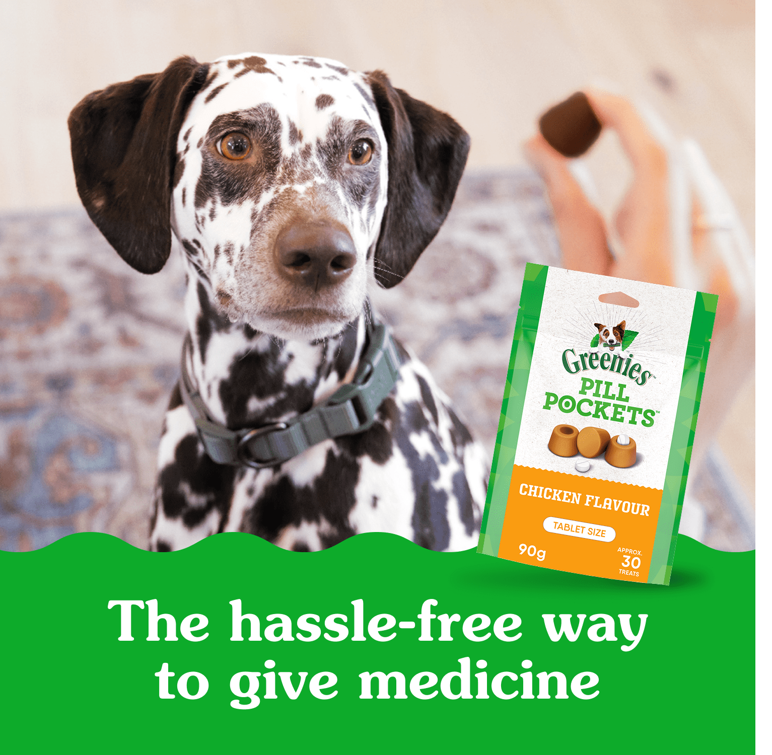 Greenies PILL POCKETS Dog Treats Tablet Size Adult Natural Soft Chicken Flavour
