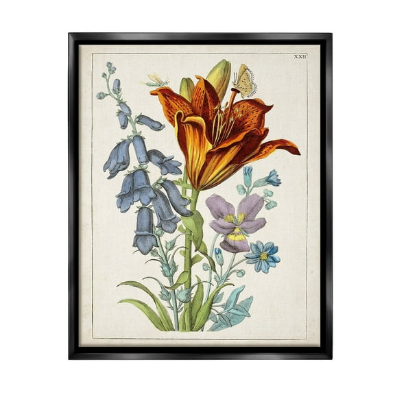 Stupell Industries Bugs & Vintage Flowers Botanical & Floral Painting Black Floater Framed Canvas Art Print Wall Art, 17 x 21