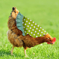 thumbnail image 4 of 3 piezas de delantal de gallina, chaqueta de pollo, delantal de gallina, fijador de plumas, cubierta trasera de ala de aves de corral, 4 of 6