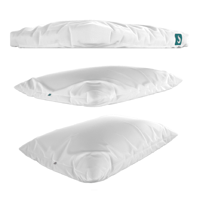 Sleepgram dreamsleep pillow 2025
