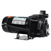 WAYNE CWS75 3/4 HP Convertible Jet Well Pump