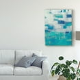 thumbnail image 3 of Trademark Fine Art 'Tilde I' Canvas Art by Sue Jachimiec, 3 of 4