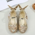 thumbnail image 5 of Toddler Little Girls Princess Cosplay Performance Shoes Sequins Wedding Party Dress Shoes Heels Mary Jane, 5 of 7