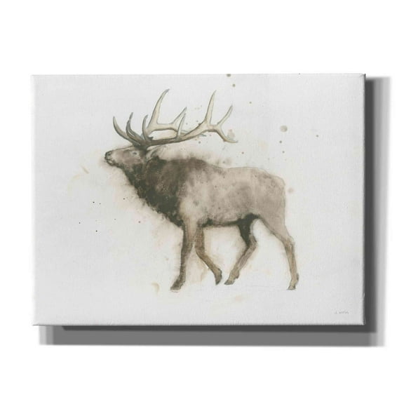 Epic Graffiti 'Elk' by James Wiens, Canvas Wall Art, 16"x12"
