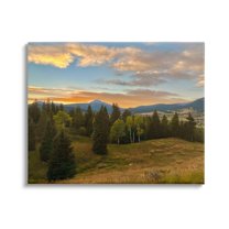 Stupell Montana Sunset Forest Clearing Landscape Photography Gallery Wrapped Canvas Print Wall Art