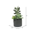 thumbnail image 3 of Vickerman FM181201 9 Po. Plantes Succulentes Vertes en Pot de Ciment, 3 of 3