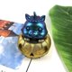 thumbnail image 5 of Pumpkin Cat Silicone Mold Fondant Chocolate Candy Molds Cake Decoration Baking Tray Crafts Pastes Soap Casting Tool, 5 of 5