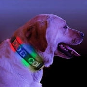 Leadleds Light Up LED Dog Collar, Polyester, Adjustable, Safety Glow, Fashion Collar, Green