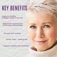 thumbnail image 2 of Dermaxgen Rejuvenating Face Lift Cream with Palmitoyl Tripeptide, Collagen Boost - 20 ML, 2 of 7