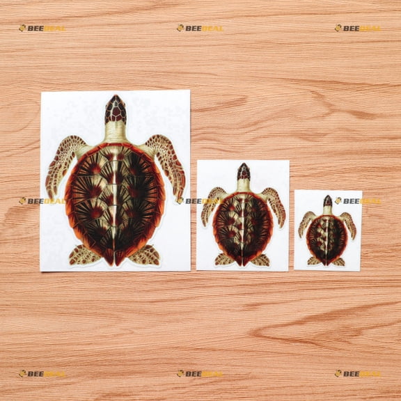 Sea Turtle Hawaii Brown Vinyl Decal Sticker - 3 Pack Glossy, 2 Inches, 3 Inches, 5 Inches - for Car Boat Laptop Cup Phone 08270B