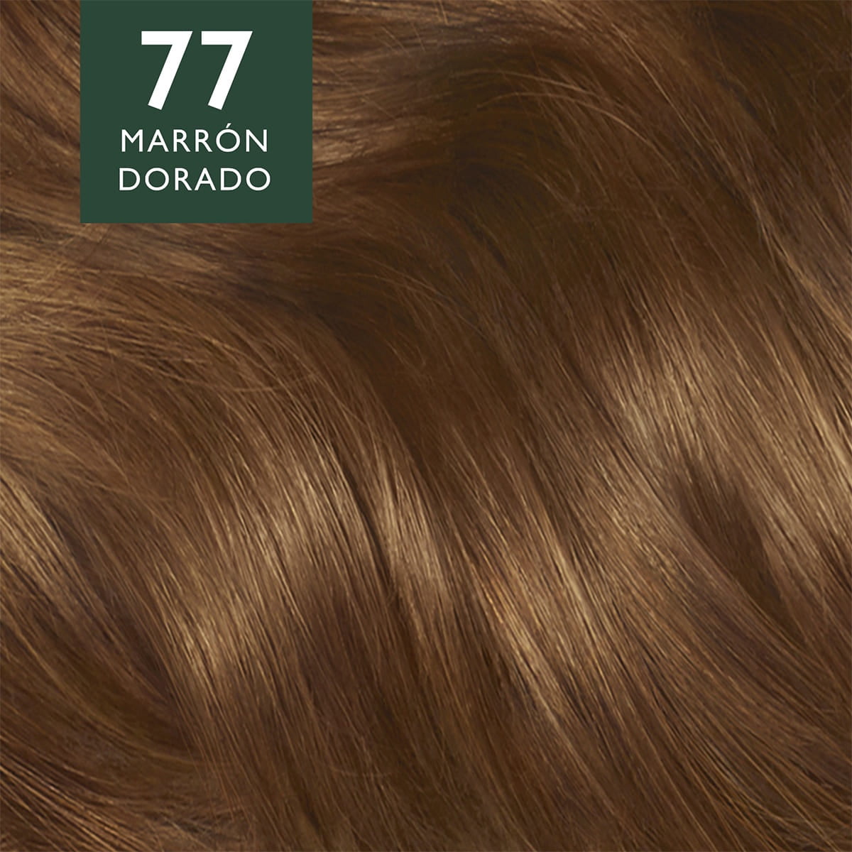 Wella Soft Color Demi Permanent Hair Color Kit with Natural Ingredients, 77 Golden Brown, 5 oz