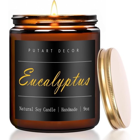 shiyou-Eucalyptus Mint Candles for Home Scented, Natural Soy Aromatherapy Non Toxic Candles with Long Lasting Fragrance & Clean Burn, Luxury Jar Candle Gift for Women, Men, Home Decoration 9oz