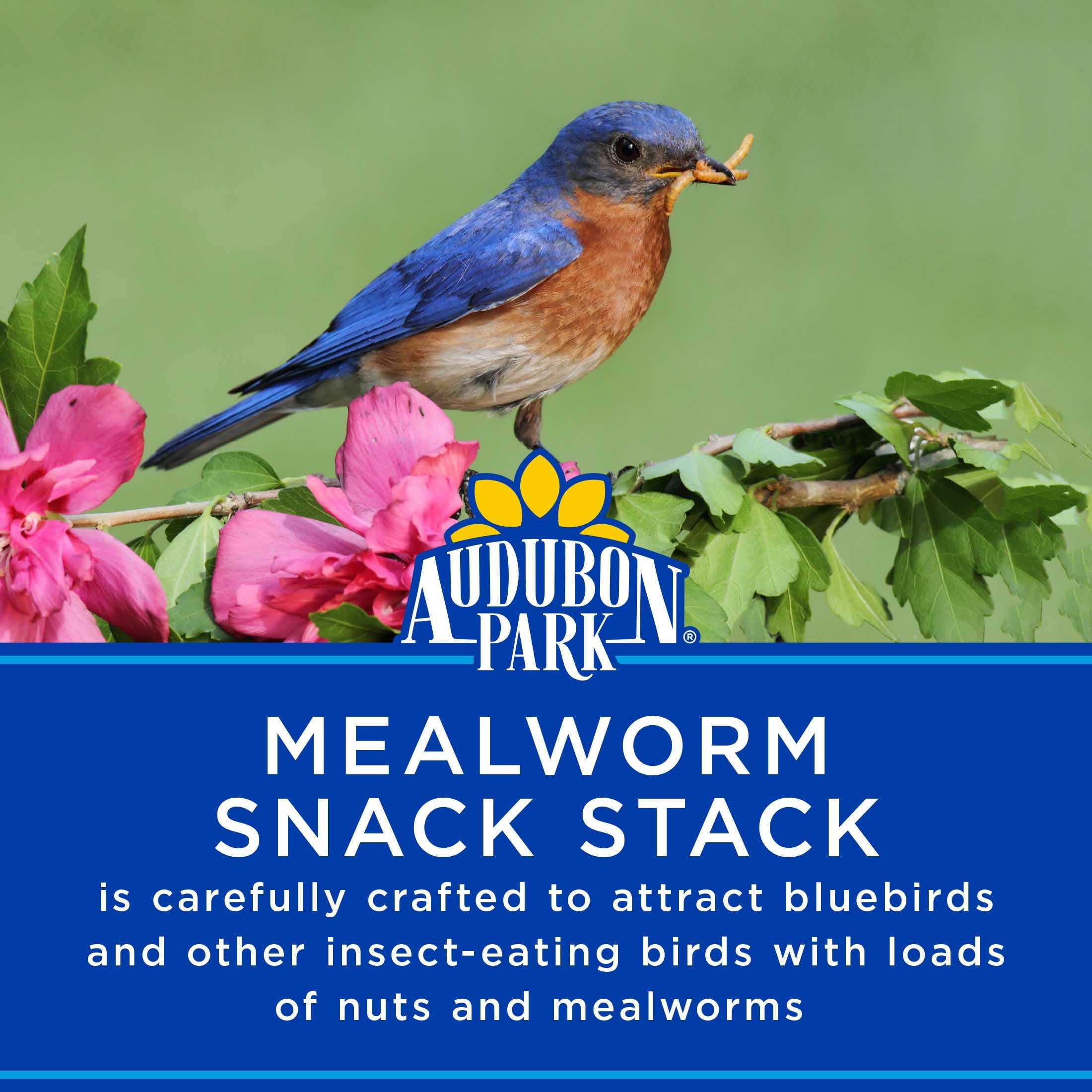 Audubon Park Mealworm Snack Stack Wild Bird Food, Dry, 1 Count per Pack, 7 oz.