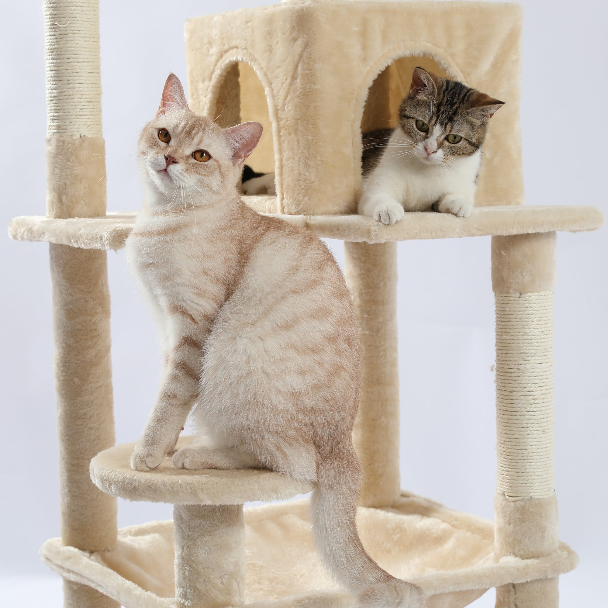 resenkos 56" Wood Cat Tree Tower for Large Cats, Cat Tree House for Indoor Cats with Cozy Cat Condo, Super Large Hammock and Plush Perches, Dark Gray