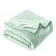 thumbnail image 1 of Bare Home Manta de Felpa Polar 300 G/M², Microfibra Mullida, Suave y Afelpada, Tamaño Matrimonial/queen, Menta Primaveral, 1 of 7