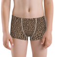 thumbnail image 5 of Yiaed Brown Leopard Print Boys' Boxer Briefs Cotton Casual Stretch Comfort Boys Boxers - Kids Boxer Briefs Underwear for Boys (6-18)-X-Small, 5 of 5