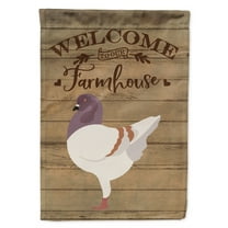 Caroline's Treasures CK6893CHF German Modena Pigeon Welcome Flag Canvas House Size , Large, multicolor