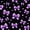Black Purple 01, variant on Erosebridal Bow Love Heart Twin Sheet Sets for Girls, Black Pink Bowknot Bedding for Women, 3-Piece