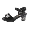 thumbnail image 7 of Girls Sandals Open Toe Rhinestone Low Block Heeled Party Wedding Flower Girls Shoes Princess Dress Ankle Strap Heels Black 12.5 Little Kid, 7 of 7