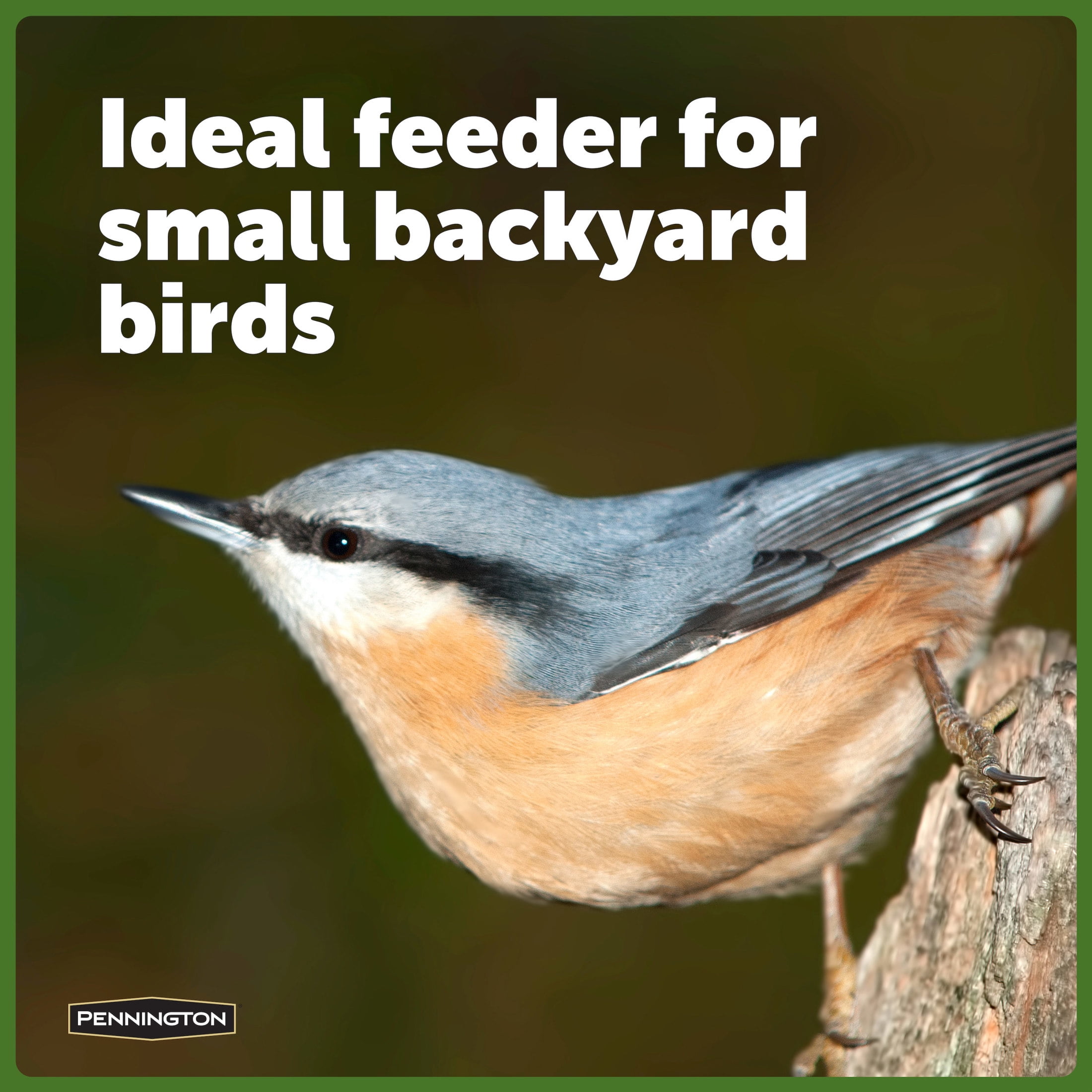 Pennington Red Resin Songbird Lantern Wild Bird Hopper Feeder, 1 lb. Capacity, 4 Pack