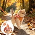 thumbnail image 2 of Btomtd Color Blocked Pet Strap And Leash Set Breathable Mesh Vests With Adjustable Straps Suitable For Small And Medium Cats And Dogs, 2 of 7