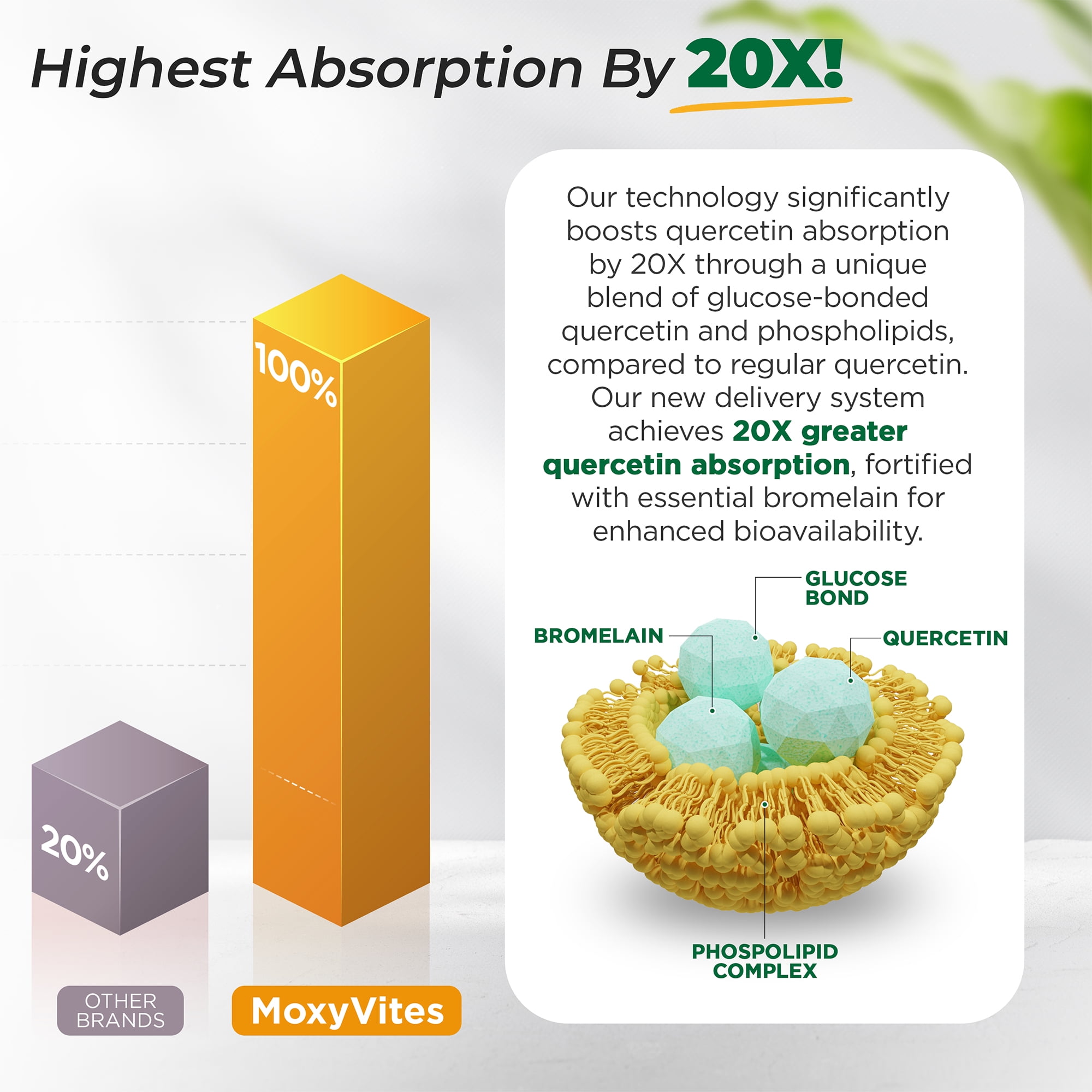 MoxyVites Quercetin with Bromelain 500mg, High Absorption, Phytosome Form, Vegan, 120 Capsules