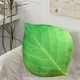 thumbnail image 5 of Simulation Leaf Pillow Double-sided Printing Shaped Living Room Sofa Decoration Home Pillow Cushion, 5 of 6