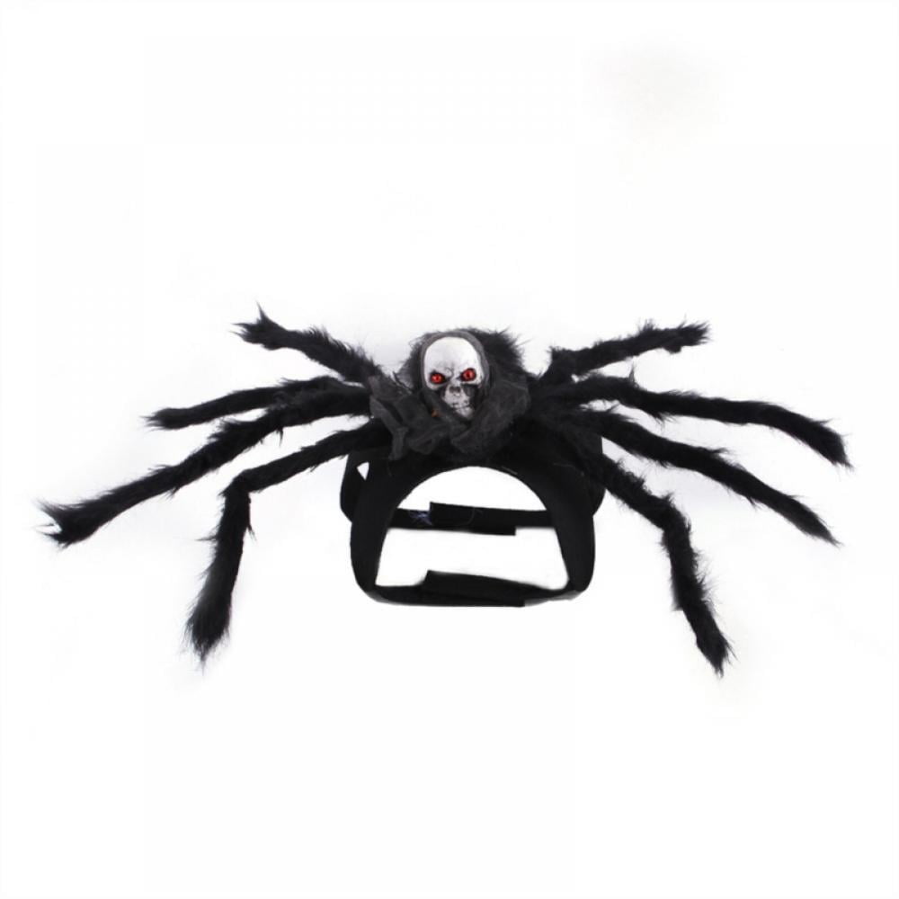 dog spider costume black