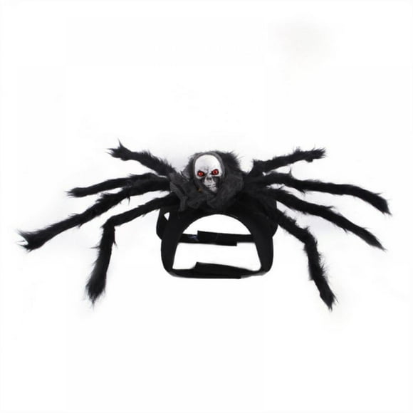 Spider Dog Costume
