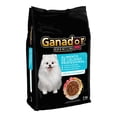 thumbnail image 2 of Alimento para Perro Ganador Premium Adulto Razas Pequeñas 2 kg, 2 of 6