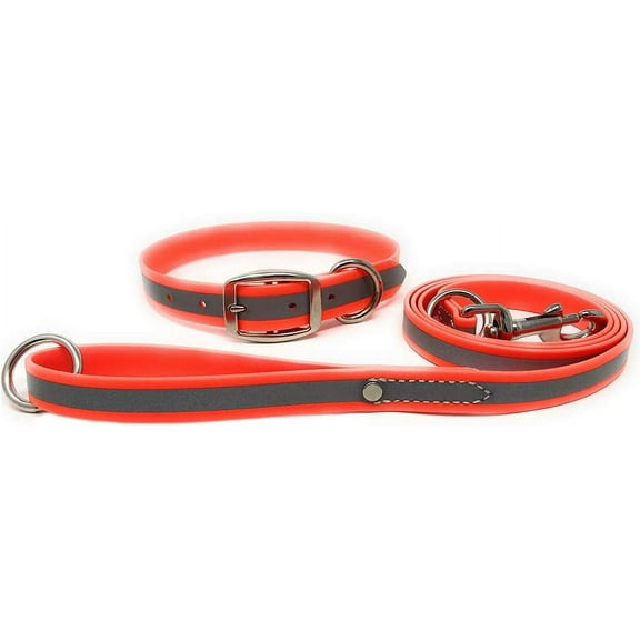 Regal Dog Products Reflective Standard Collar and 5ft Leash Set