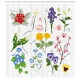 thumbnail image 3 of Ambesonne Pansy Shower Curtain, Marigold Lily Cypress Vine, 69"Wx75"L, White Multicolor, 3 of 3