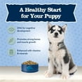 thumbnail image 4 of Blue Buffalo Baby BLUE Healthy Growth Puppy Dry Food, High-Protein Chicken, 4-lb Bag, 4 of 11