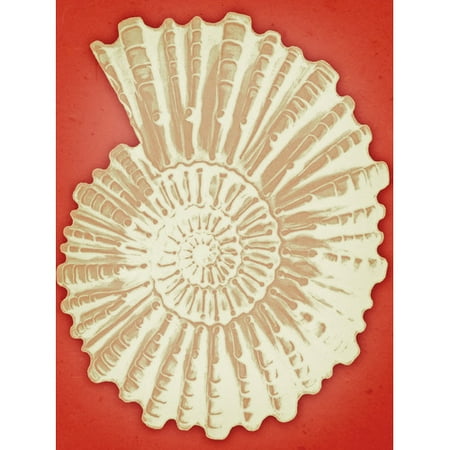 Graffitee Studios Ammonite on Coral Graphic Art on Wrapped Canvas