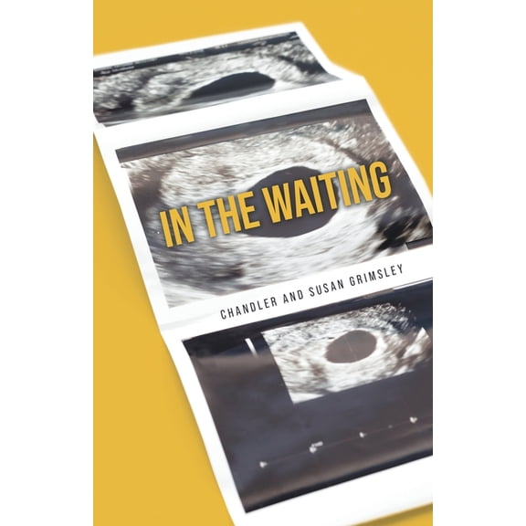 In The Waiting, (Paperback)