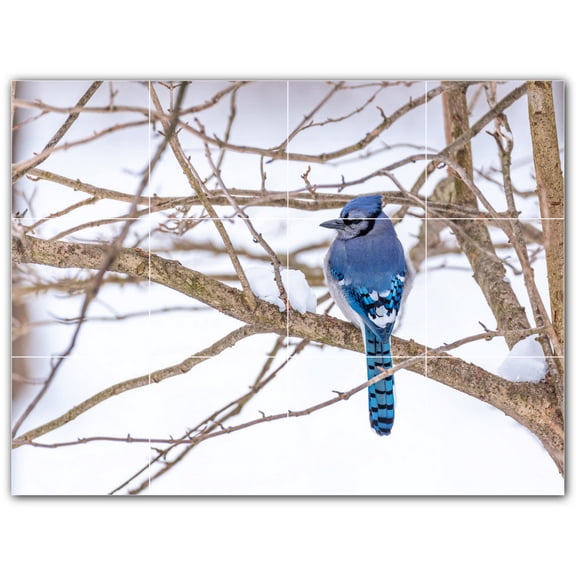 Picture-Tiles.com: Bird Ceramic Tile Wall Mural WAL500172-43XL. 48"W x 36"H using (12) 12" x 12" Ceramic Tiles-Satin Finish