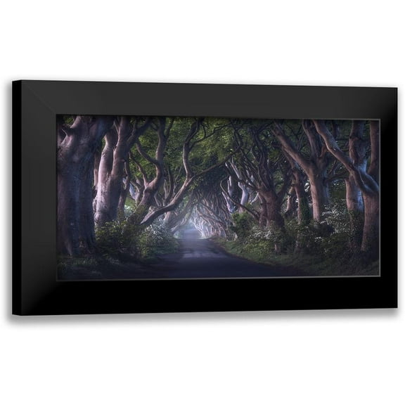 Gastager, Daniel 14x9 Black Modern Framed Museum Art Print Titled - The Dark Hedges