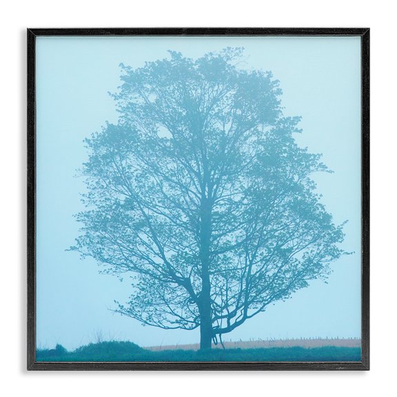 Stupell Industries Modern Spring Tree Blue Sky Black Framed Giclee Art, 12 x 12, by James McLoughlin