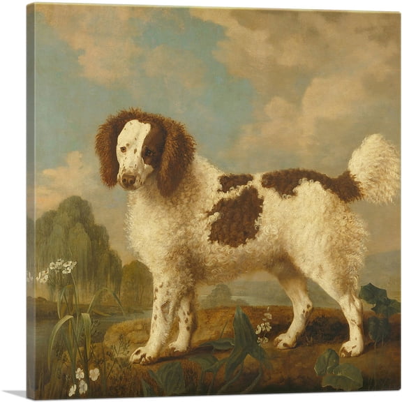 ARTCANVAS Brown and White Norfolk - Water Spaniel 1778 Canvas Art Print by George Stubbs - Size: 18" x 18" (0.75" Deep)
