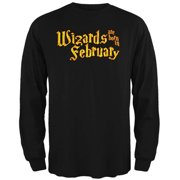 Wizards are born in February Mens Long Sleeve T Shirt Black 3X-LG