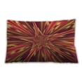 thumbnail image 1 of Ahgly Company Indoor Rectangular Contemporary Lumbar Throw Pillow, 13 inch by 19 inch, 1 of 5