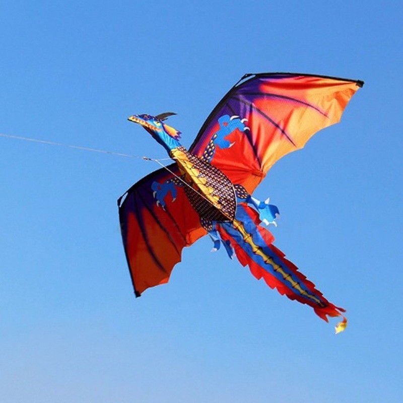 Classical Large 3D Dragon Kite Single Line w/ Tail Outdoor Sports Toy Kids Gifts 