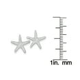thumbnail image 2 of Primal Gold 14 Karat White Gold Starfish Post Earrings, 2 of 4